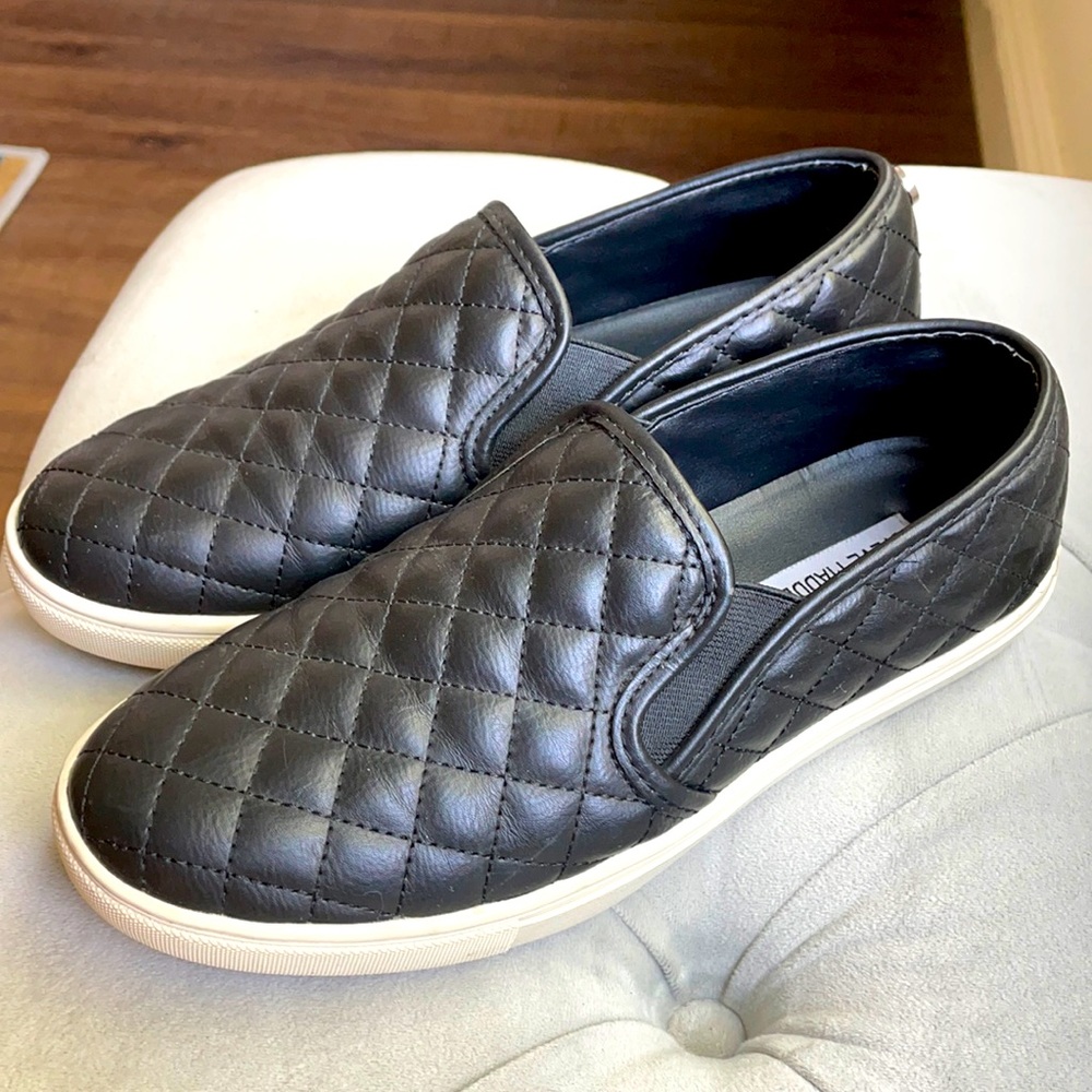 Steve Madden - ECENTRCQ